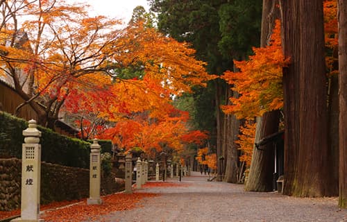 遠州三山ご利益めぐり