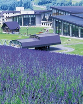 付帯施設：ラベンダー園＆ゆり畑