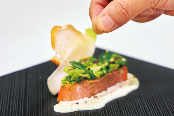 大地に芽吹く春をイメージ