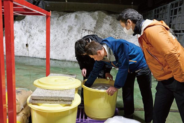 伝統を取り入れこの地の風土を生かしたオリジナルのへしこづくりに挑戦
