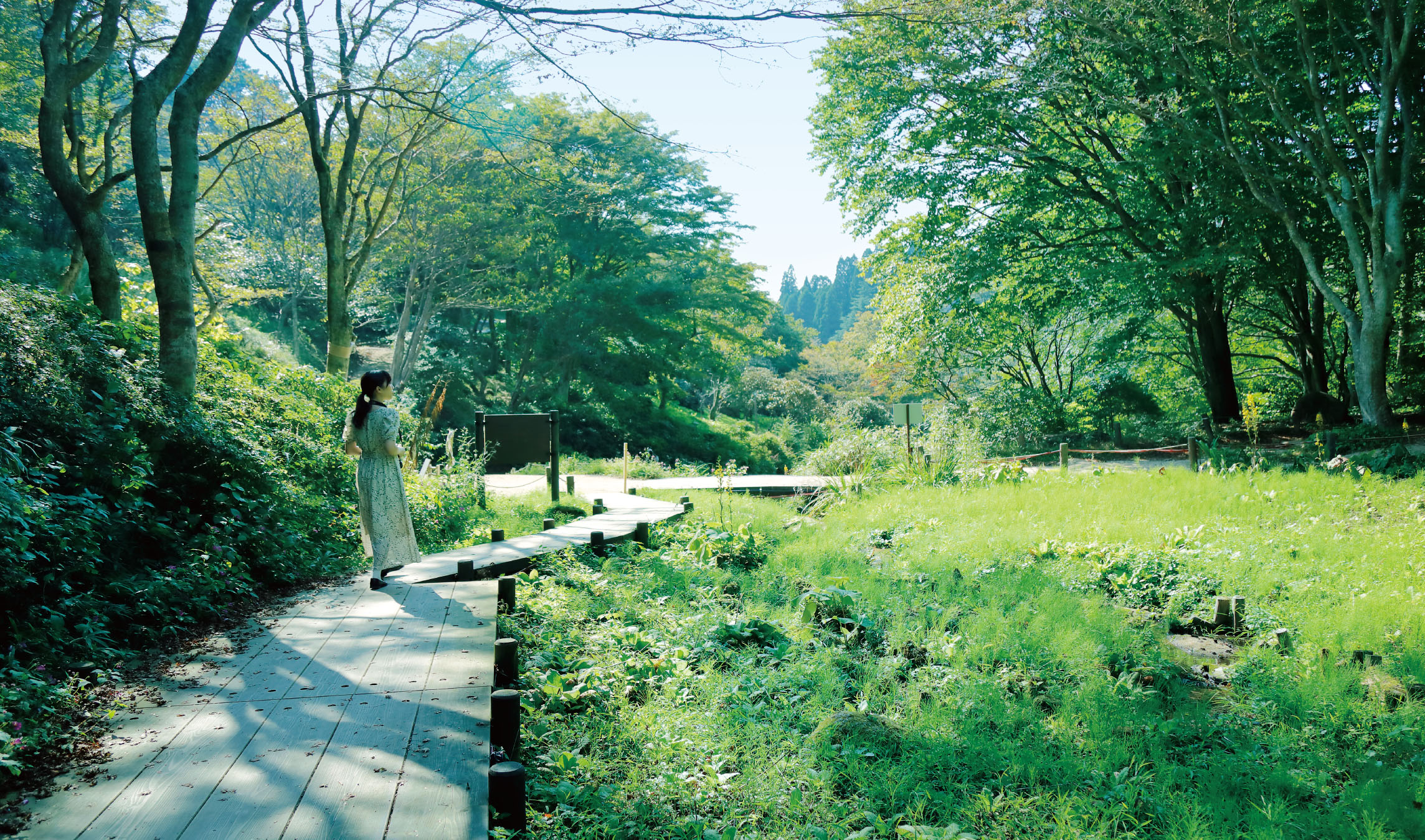 六甲ガーデンテラス/六甲高山植物園
