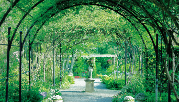 「蓼科高原 バラクラ イングリッシュ ガーデン」