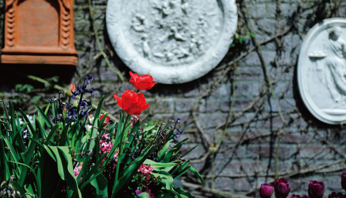 「蓼科高原 バラクラ イングリッシュ ガーデン」