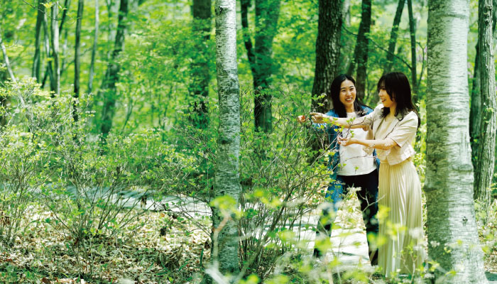 「八ヶ岳倶楽部」