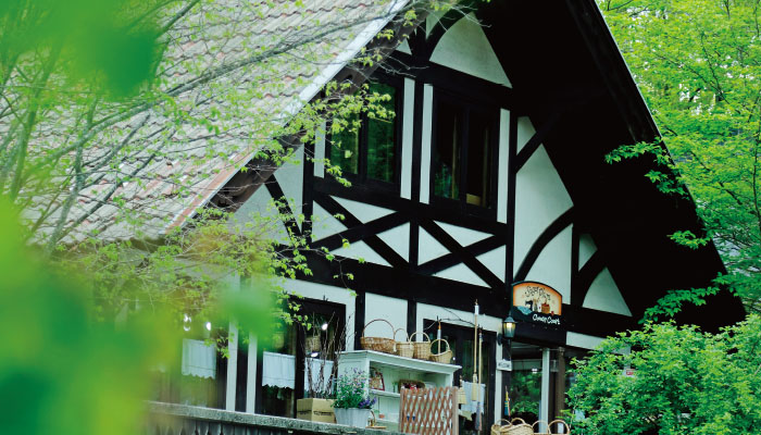 「萌木の村 ROCK」