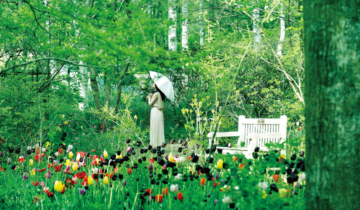 英国式庭園で楽しむアフタヌーンティー