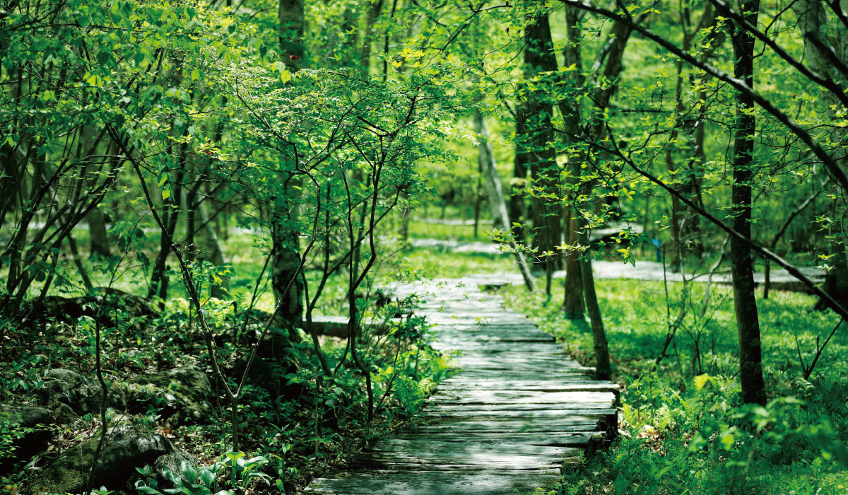 森の中のリトリートで癒しの時間を過ごす