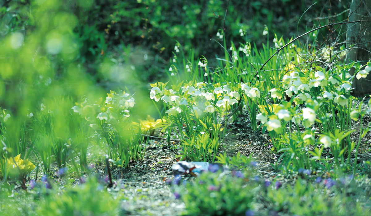 クラフトビールや希少ウイスキーも味わえる個性的なショップも目白押し