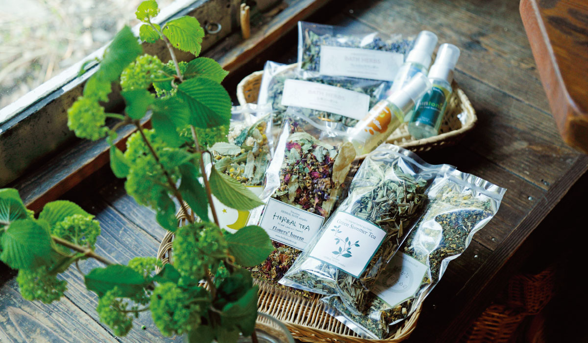 植物の力でリラックス&リフレッシュ