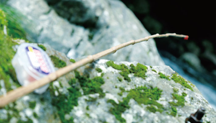 天城国際鱒釣場