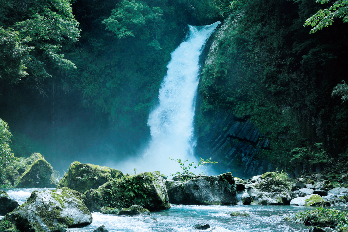 楽しく学ぶ食文化 天城食育体験
