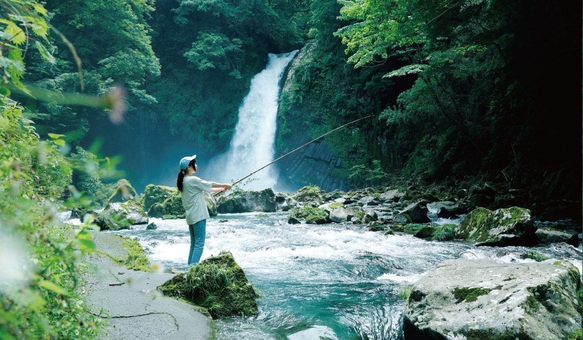 渓流の女王 アマゴ