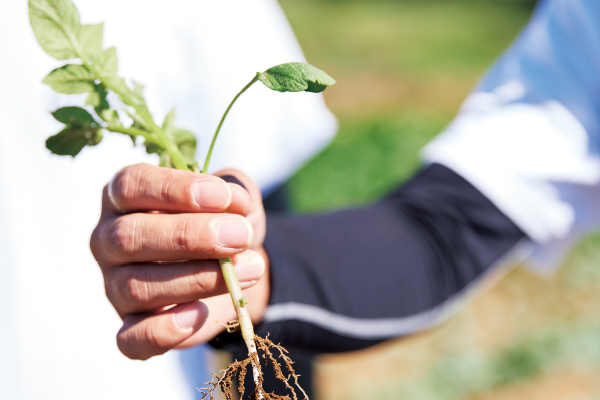 次世代の箱根西麓三島野菜を担う“のうみんず”