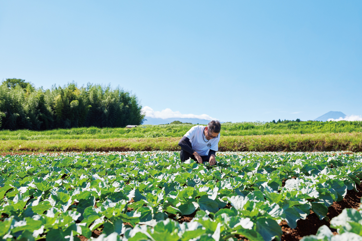 地元を愛する作り手とサポーターたちの想いが結実 箱根西麓三島野菜の魅力発見