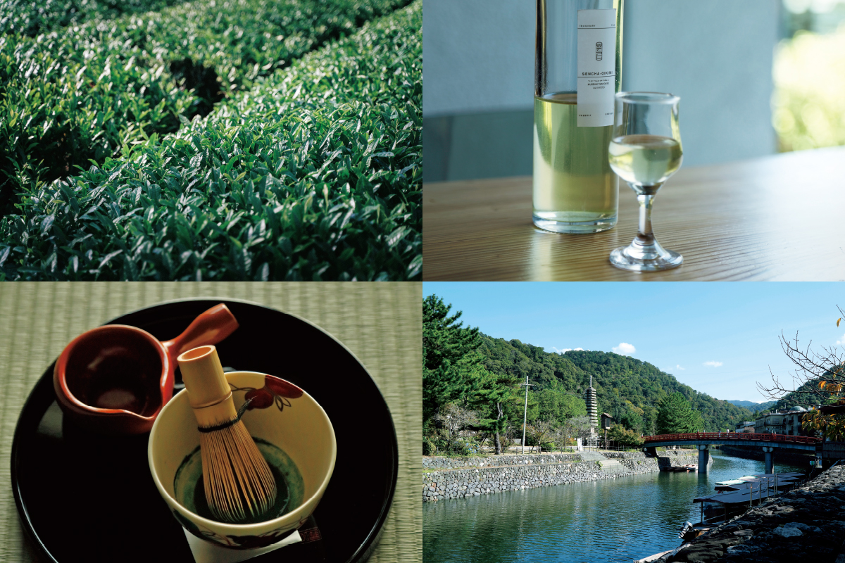 茶のふるさとを訪ねて京都・宇治茶の世界