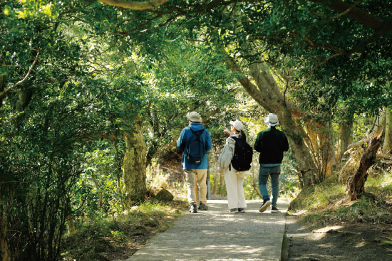 山頂を目指す道中