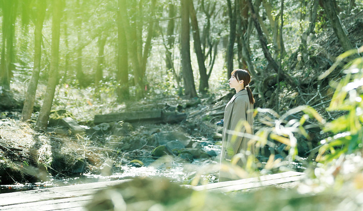 森と共生する“持続可能なまち”