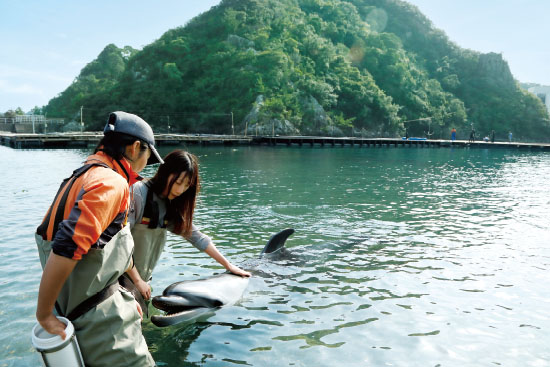 歴史や生態を知り、体験できる鯨類に特化したミュージアム