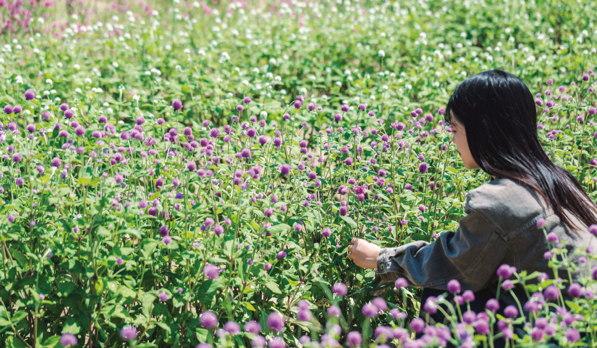 ハーブの香りで癒される心安らぐひととき