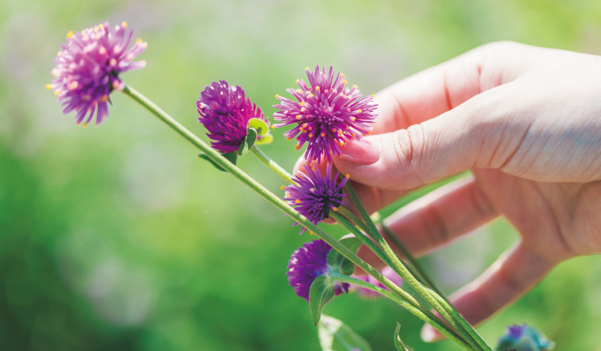 ハーブの香りで癒される心安らぐひととき