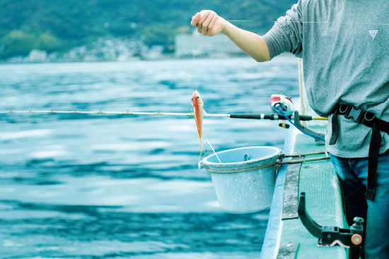 船長の指南で初心者も安心 釣り船から愉しむ相模湾の海釣り