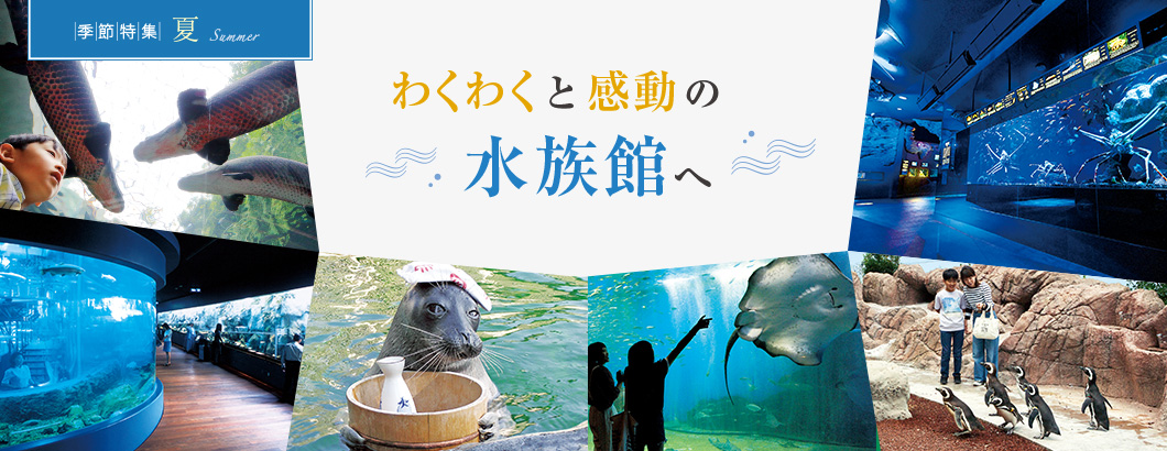 わくわくと感動の水族館へ