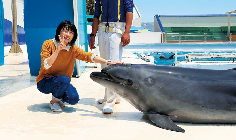 鴨川シーワールド