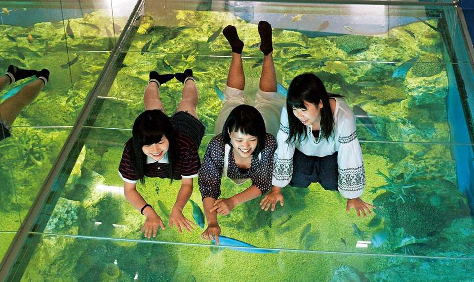 越前松島水族館