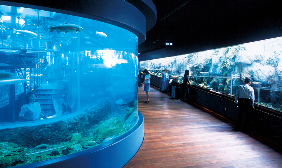 森の中の水族館。山梨県立富士湧水の里水族館