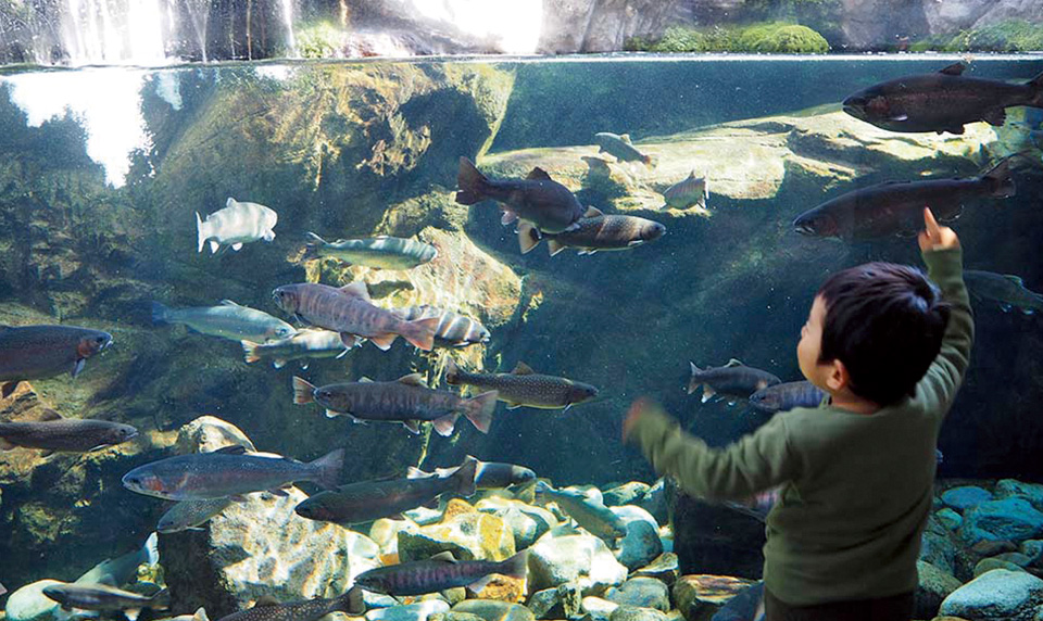 栃木県なかがわ水遊園