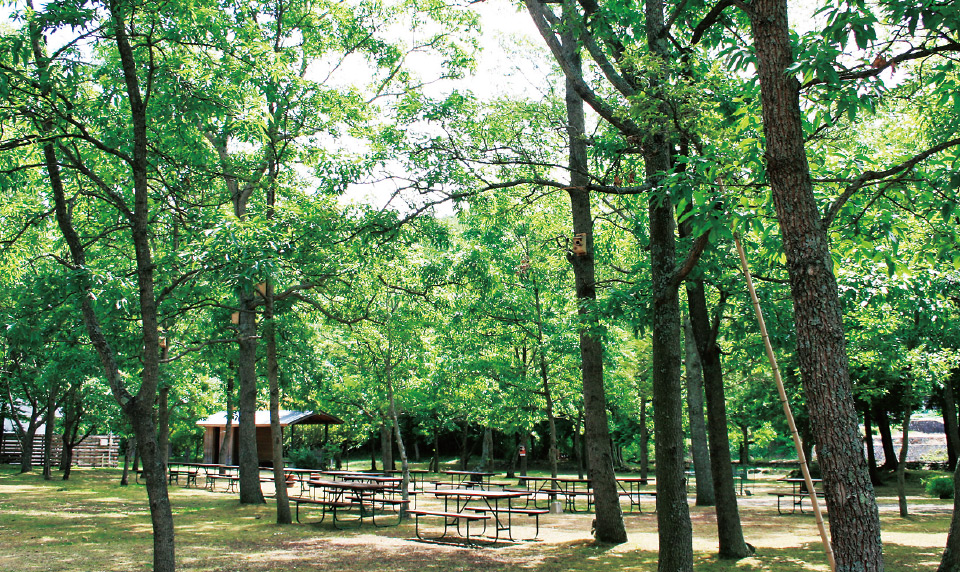 ベアード・ブルワリーガーデン修善寺