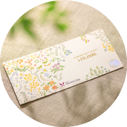 ハーヴェストフラワー