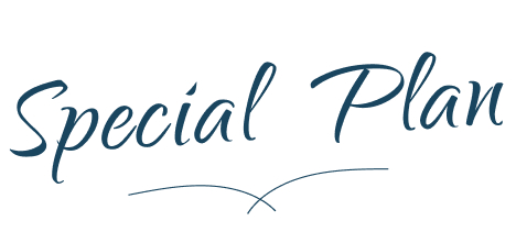 Special Plan