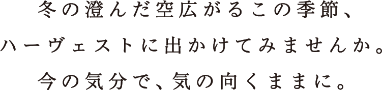 冬の澄んだ空広がるこの季節、ハーヴェストに出かけてみませんか。今の気分で、気の向くままに。