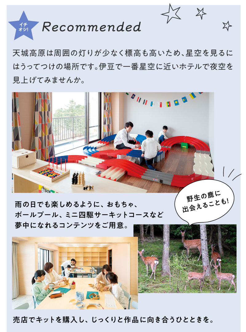 野生の鹿に出会えることも!