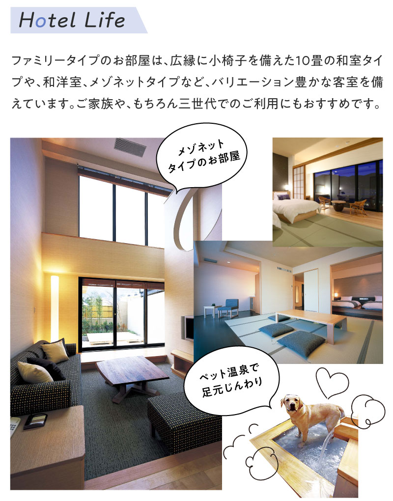 バリエーション豊かな客室を備えています。ご家族や、もちろん三世代でのご利用にもおすすめです。