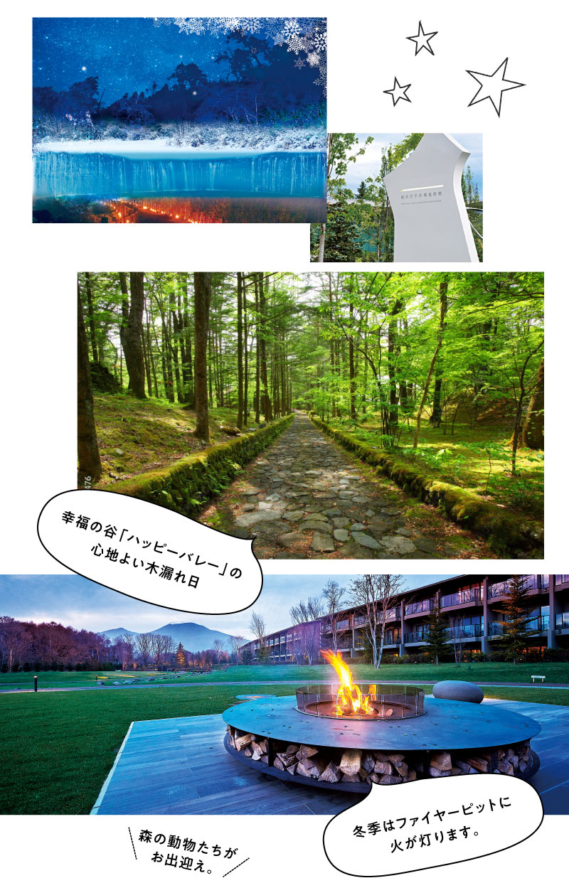 幸福の谷「ハッピーバレー」の心地よい木漏れ日。