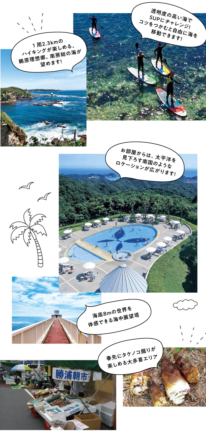 透明度の高い海でSUPにチャレンジ!