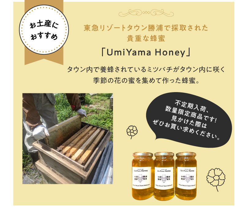ハチミツ「UmiYama Honey」