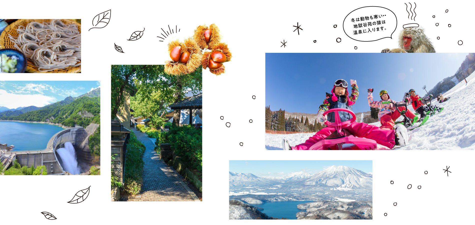 タングラムスキーサーカスなど、季節に合わせた楽しみが盛りだくさんです!