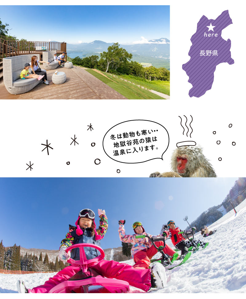 冬は動物も寒い・・地獄谷苑の猿は温泉に入ります。