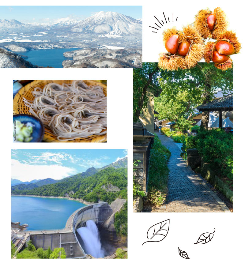 栗の町小布施町や戸隠、立山黒部方面など。