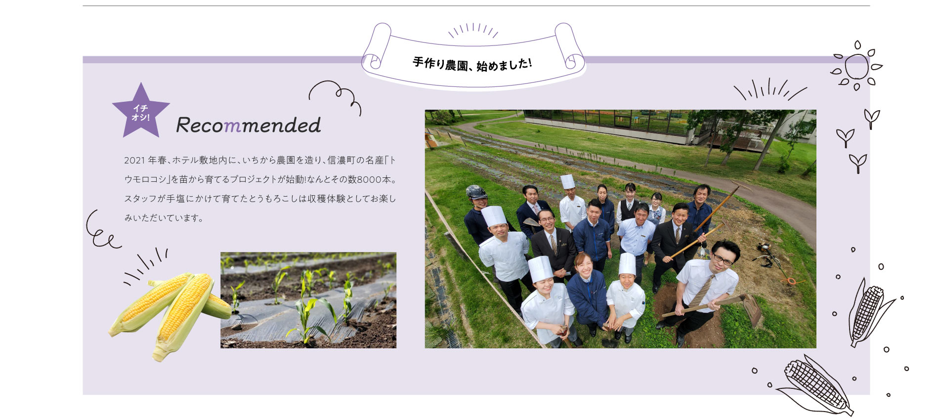 手作り農園、始めました。