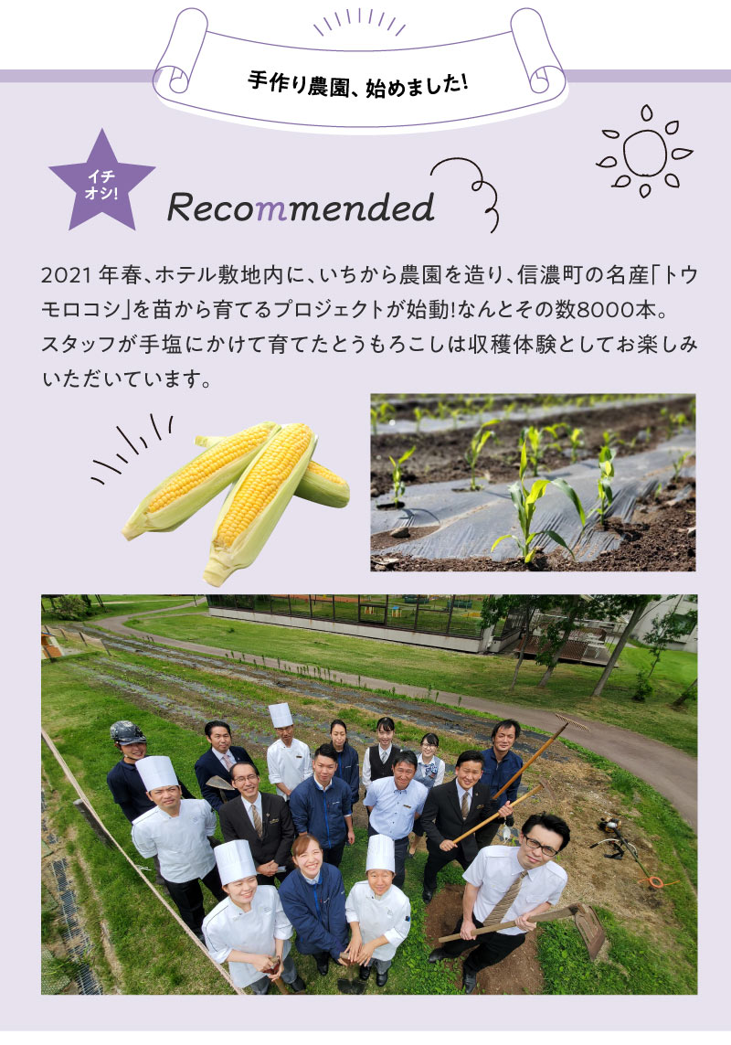 スタッフが手塩にかけて育てたとうもろこしは収穫体験としてお楽しみいただいています。