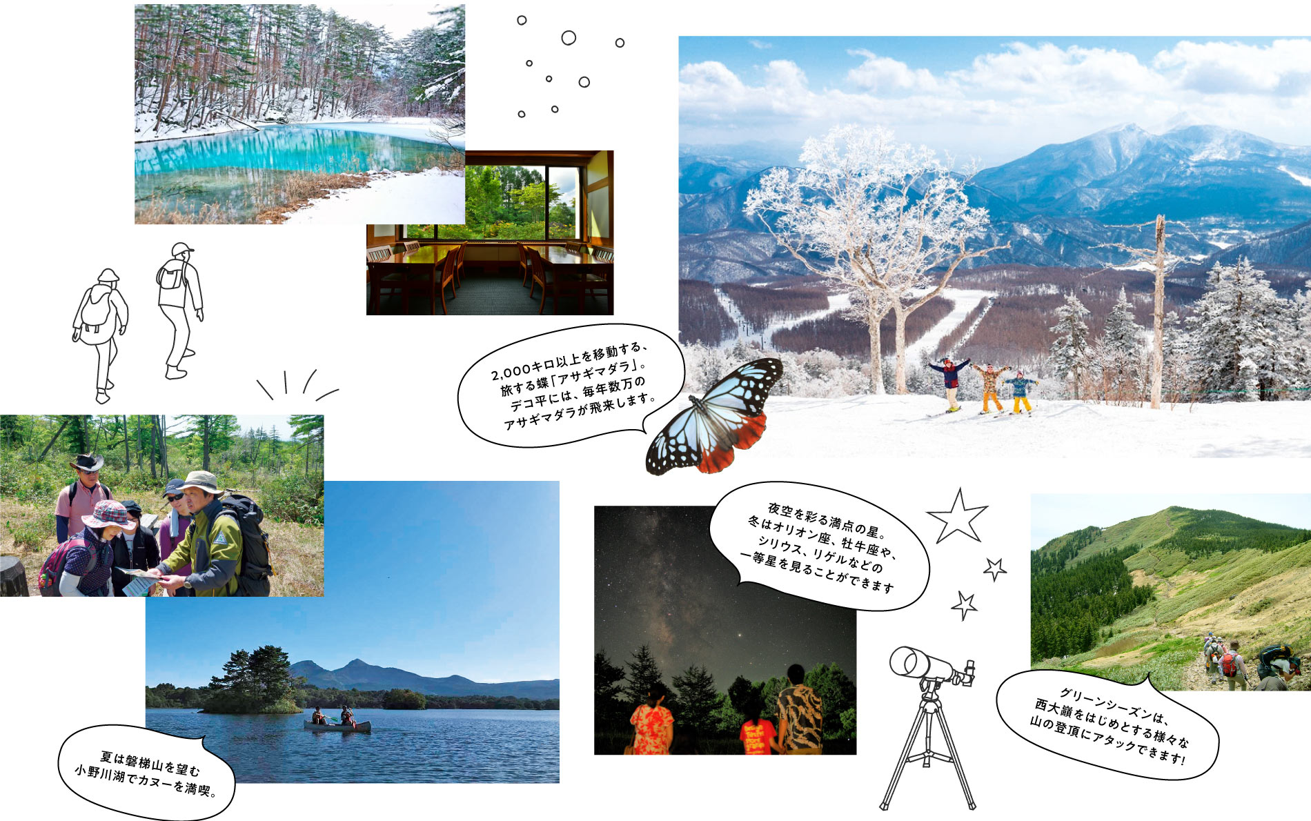 トレッキング、釣り、植物鑑賞、スキー、スノーボードなど。