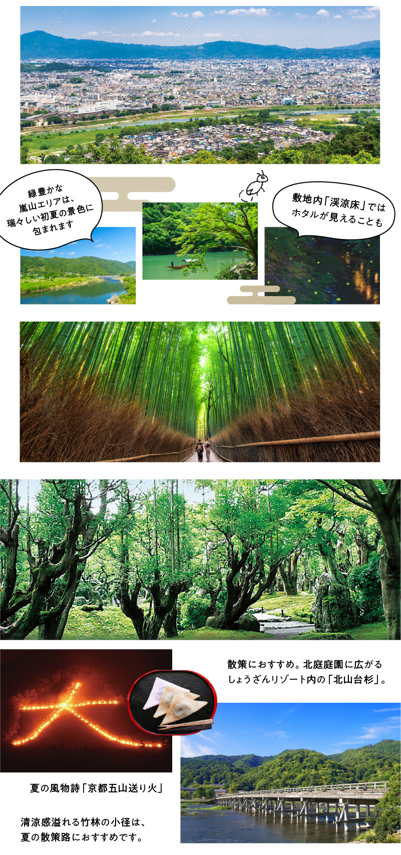 緑豊かな嵐山エリアは、瑞々しい初夏の景色に包まれます。
