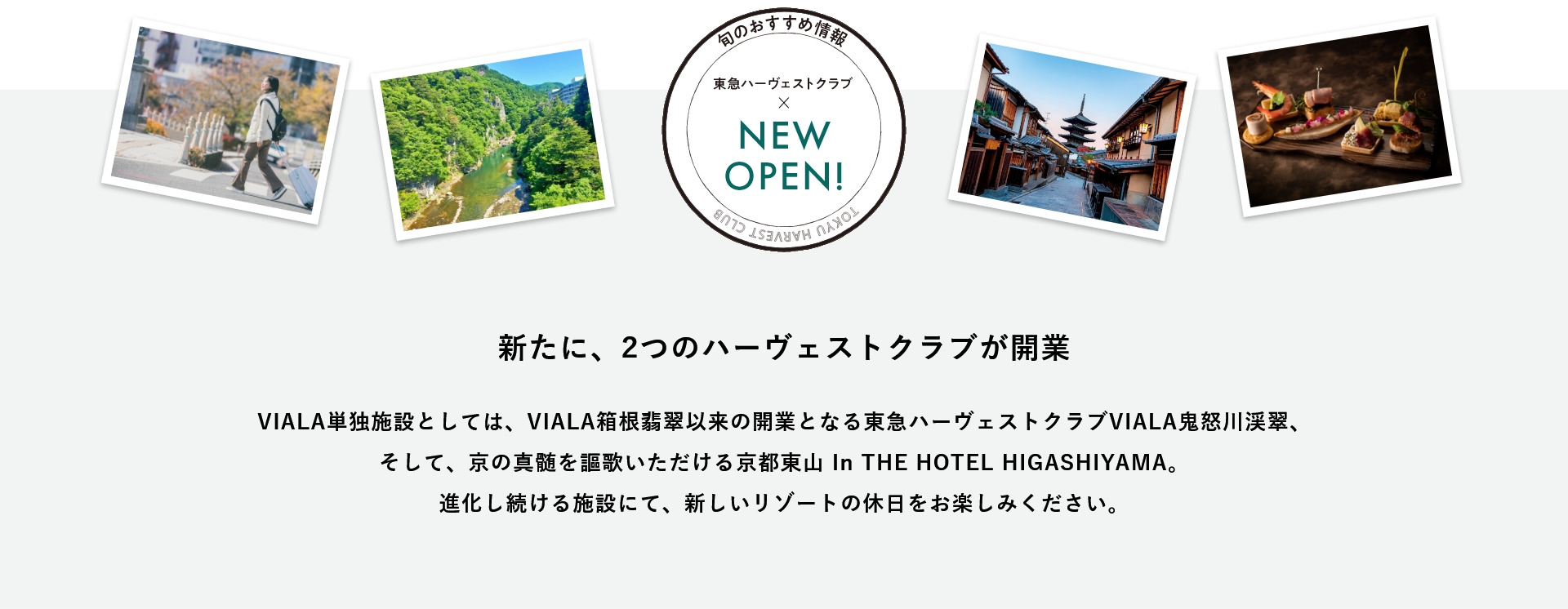 旬のおすすめ情報　NEW OPEN!