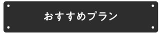 おすすめプラン