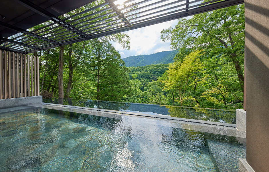 VIALA鬼怒川渓翠